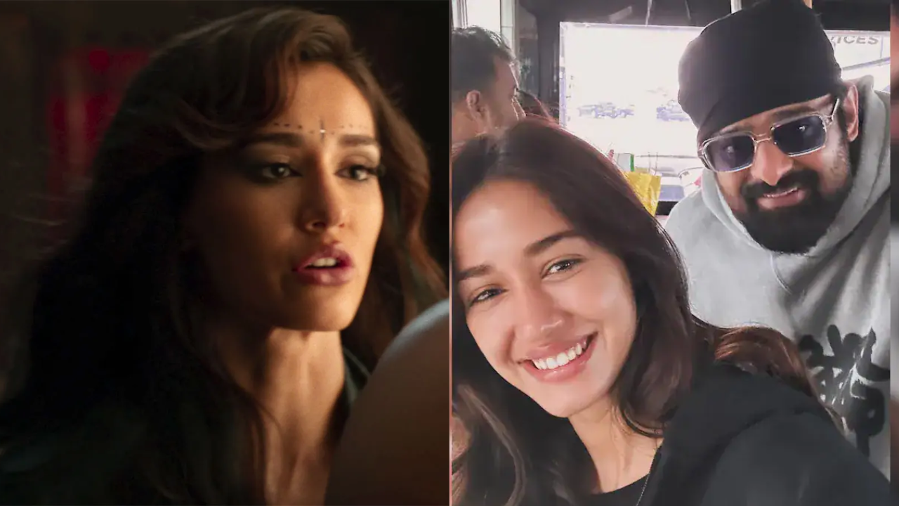 दिशा ने अपने करियर में बागी-2, बागी-3, एक विलेन रिटर्न्स, मलंग, योध्दा, राधे और कुंग फु योगा समते कई फिल्मों में काम किया। दिशा कल्कि 2898 एडी और कंगुवा में नजर आएंगी। 