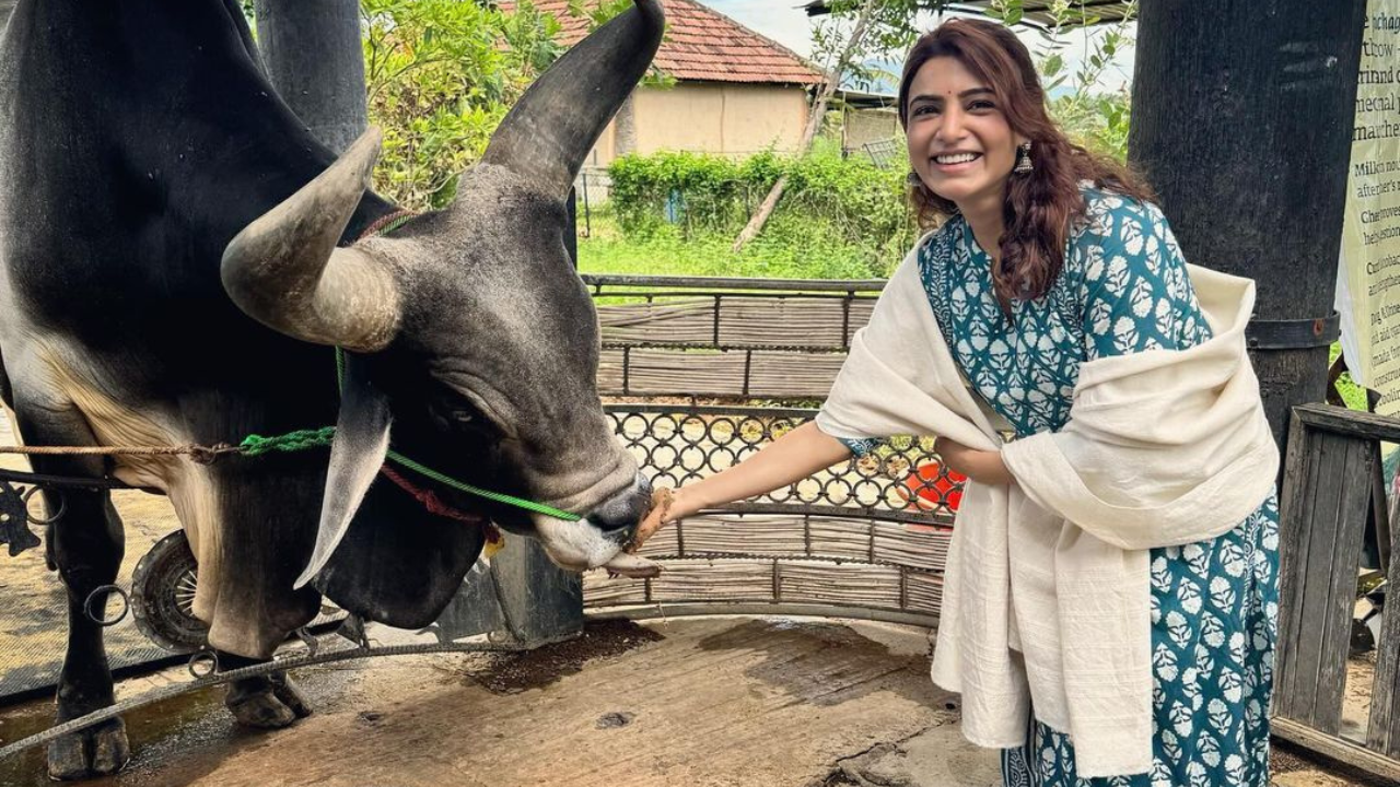 सामंथा ने तस्वीरों के कैप्शन में लिखा कि हम में से बहुत से लोग गुरु की तलाश करते हैं। जब आपको अपने जीवन को रोशन करने के लिए तीव्रता, धारणा और करुणा वाला कोई मिल जाता है, तो यह एक विशेषाधिकार होता है।