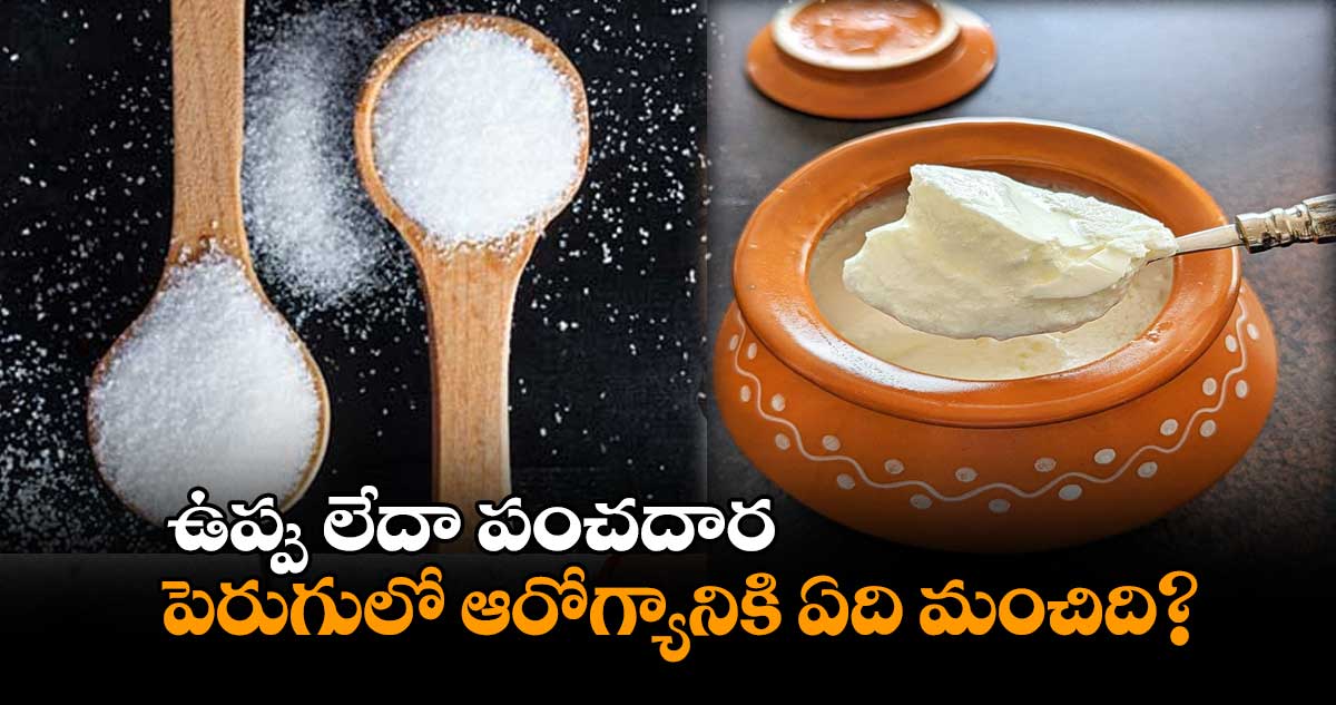 ఉప్పు లేదా పంచదార.. పెరుగులో ఆరోగ్యానికి ఏది మంచిది?