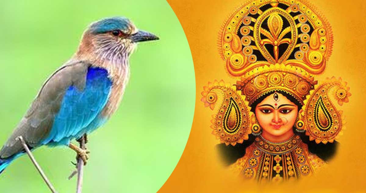 దసరా రోజున పాలపిట్ట దర్శనం ఎందుకు?