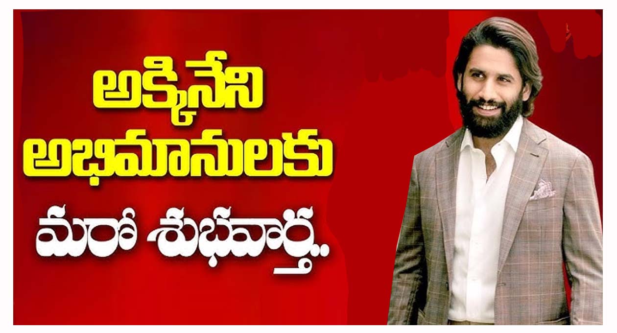 అక్కినేని అభిమానులకు శుభవార్త