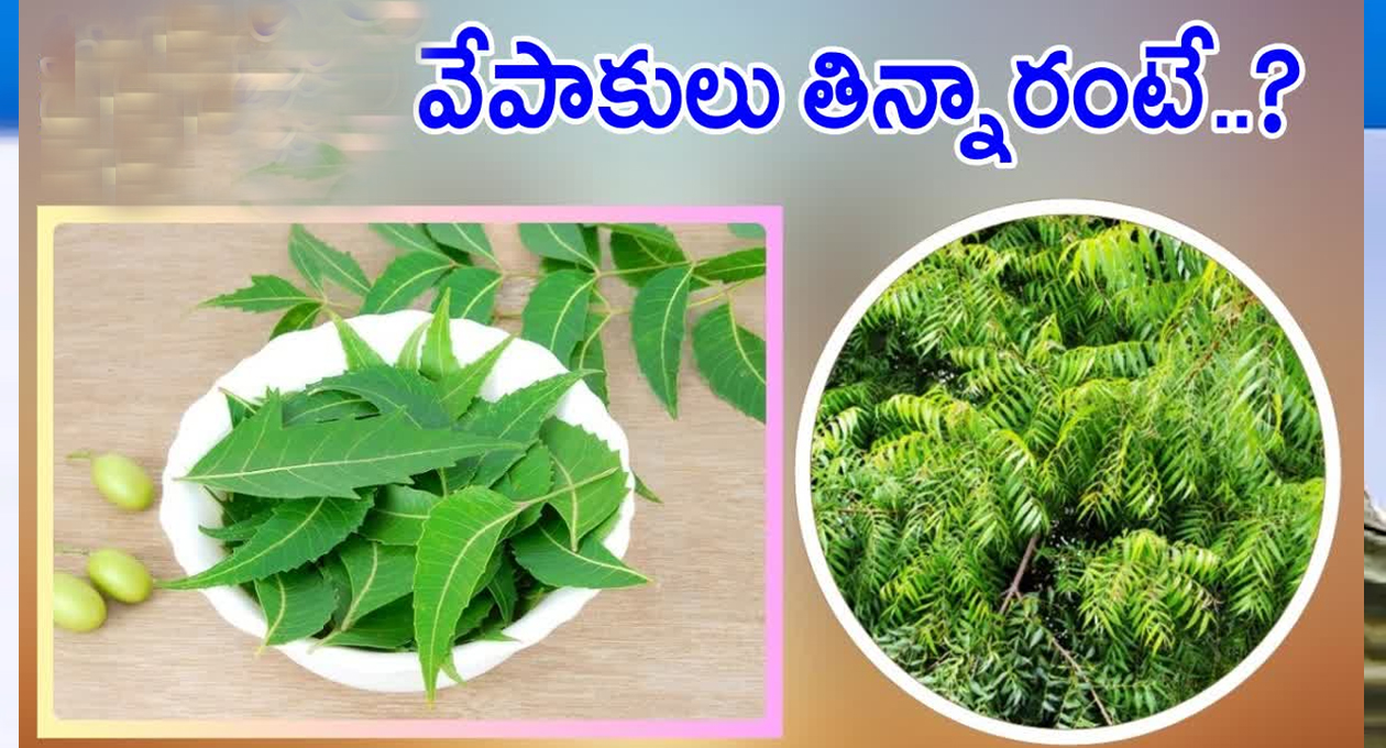 వర్షకాలంలో వేపాకుతో “ఆ సమస్యలకు” గుడ్ బై..!