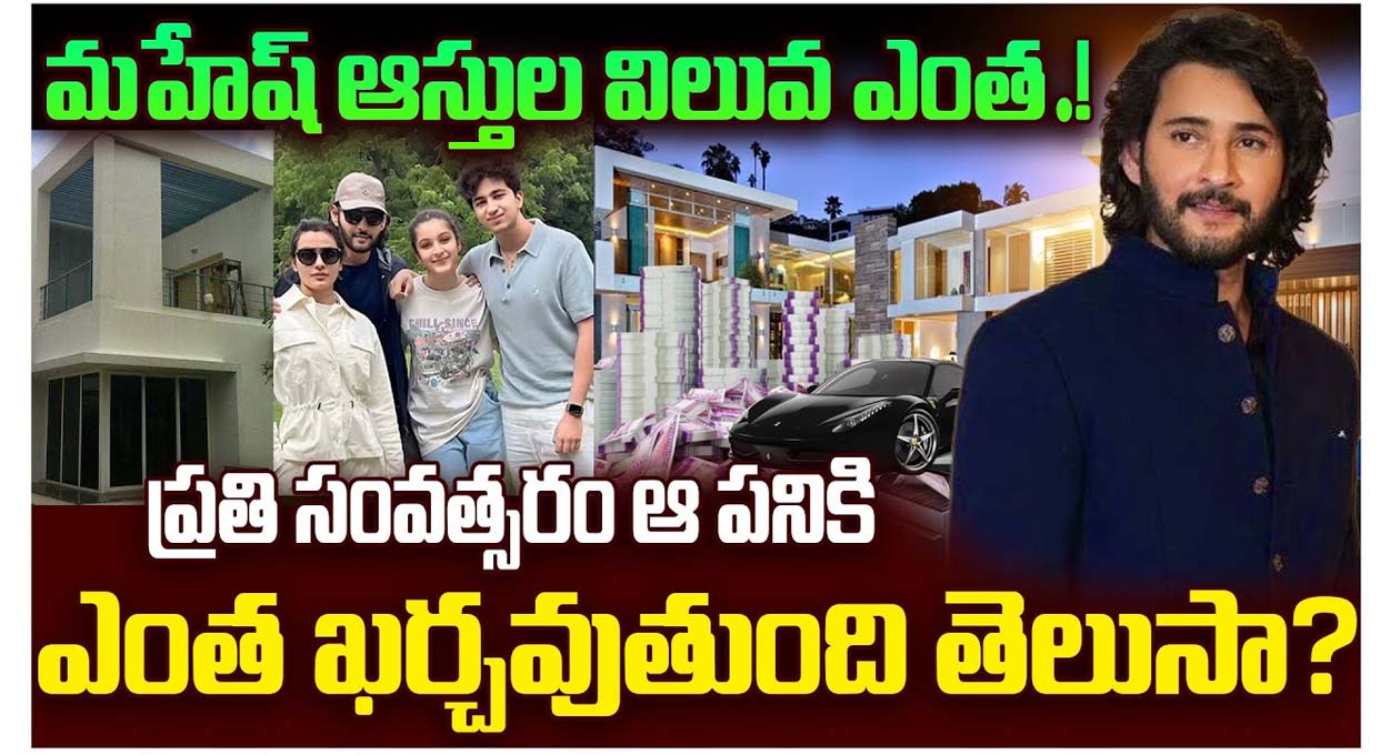 హీరో మహేశ్ ఆస్తులు ఎంతో తెలుసా..? హీరో మహేశ్ ఆస్తులు ఎంతో తెలుసా..?