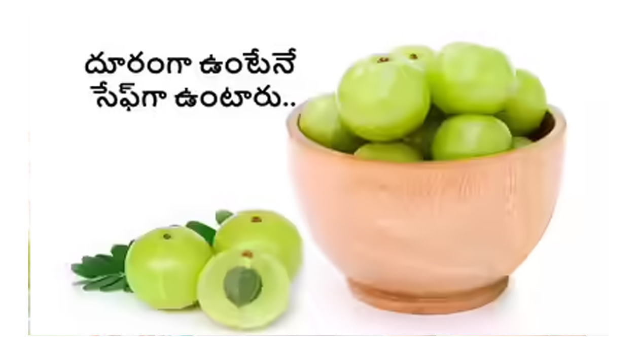 వాళ్ళు ఉసిరికాయ తినవచ్చా..?