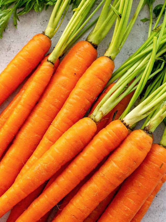 carrot