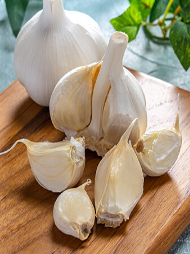 garlic4