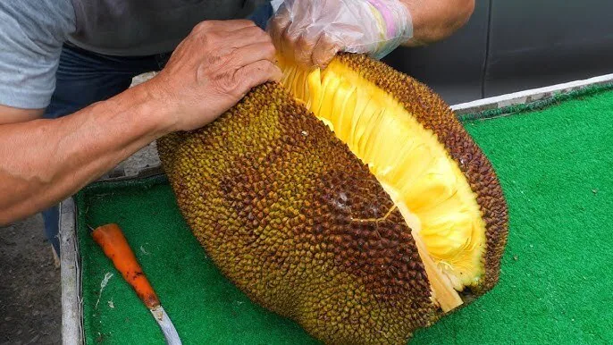 Jack Fruit 3