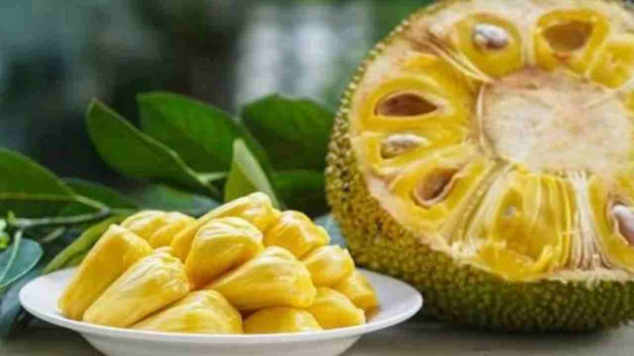Jack Fruit 5