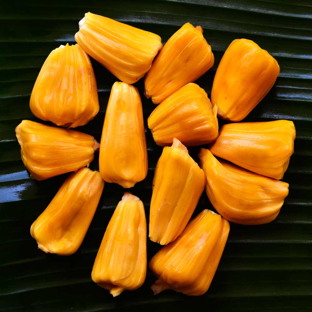 jack fruit11