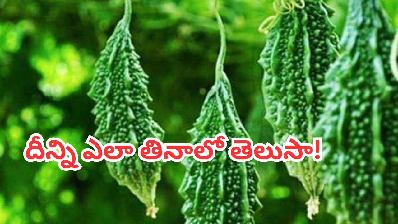 Bitter Gourd Benefits: గుండె జబ్బులు, మూత్రపిండాల్లో రాళ్లు, అర్థరైటిస్ షుగర్.. అన్నటికి ఒకటే మందు.. ‘ది గ్రేట్ కాకరకాయ’
