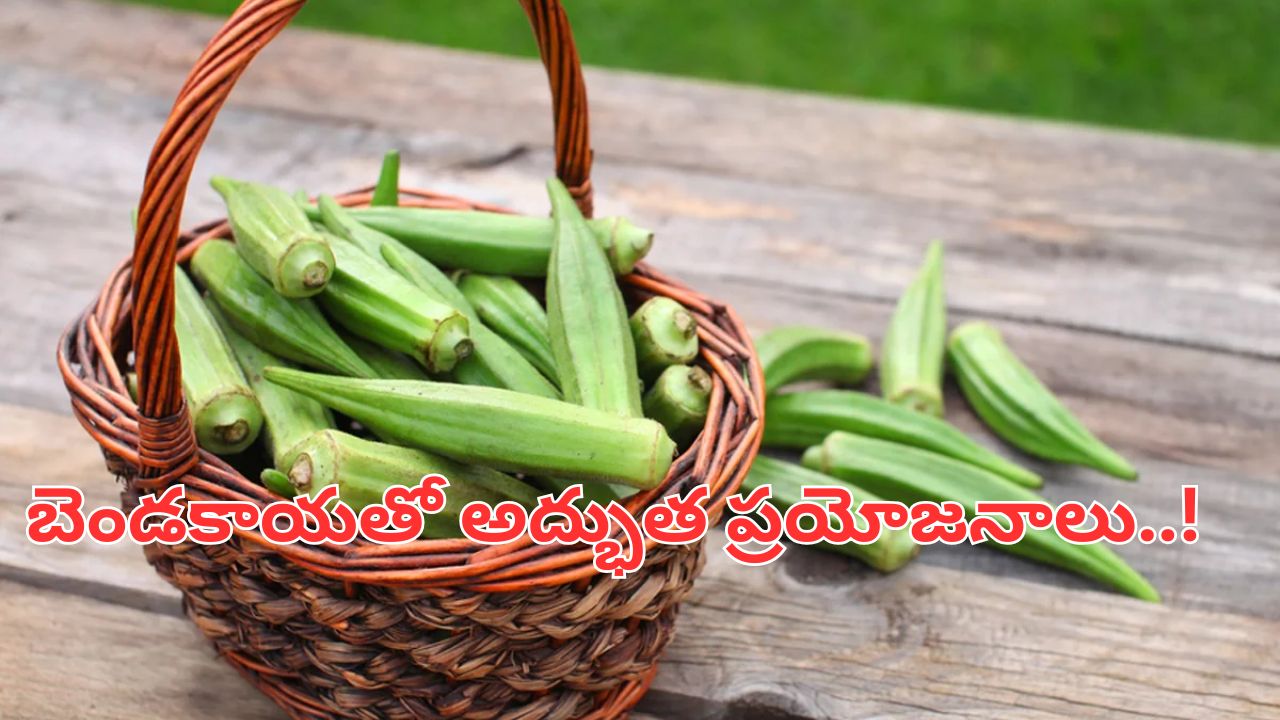 Lady Finger: బెండకాయతో అద్భుత ప్రయోజనాలు.! 5 ఆశ్చర్యకరమైన ఆరోగ్య ప్రయోజనాలు