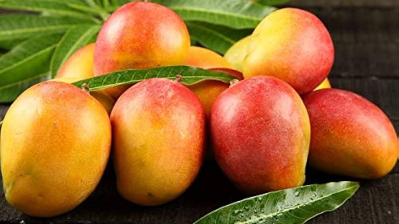 Mango for gut health: మామిడి పండ్లతో 4 అద్భుత ప్రయోజనాలు.! తెలిస్తే వదలరంతే.!