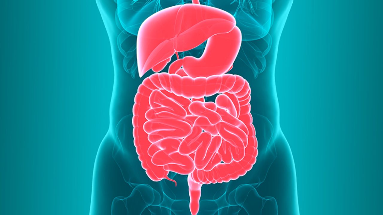 Food for GUT Health: జీర్ణవ్యవస్థ శక్తి వంతంగా పనిచేయాలంటే వీటిని ఆహారంలో భాగం చేయండి!