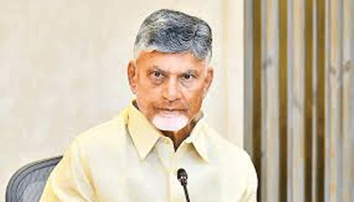 Chandrababu: నేను కొన్ని బంగారు కుటుంబాలను దత్తత తీసుకుంటా: ఏపీ సీఎం చంద్రబాబు