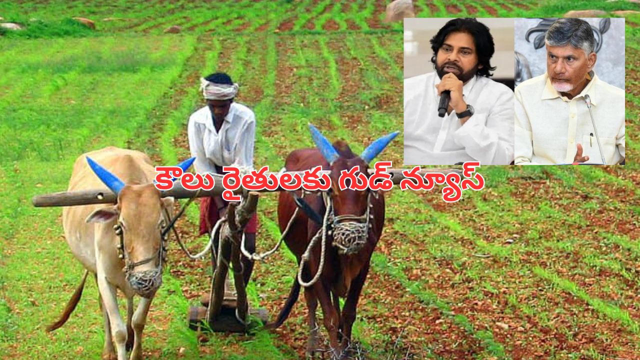 Andhra Pradesh: కౌలు రైతులకు ఒకేసారి రెండు విడతల సాయం