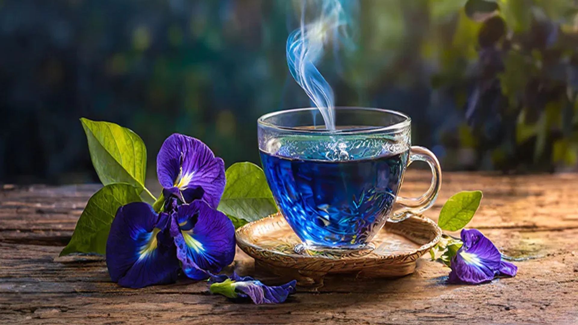 Blue Tea Benefits: బ్లూ టీ గురించి మీకు తెలుసా..?