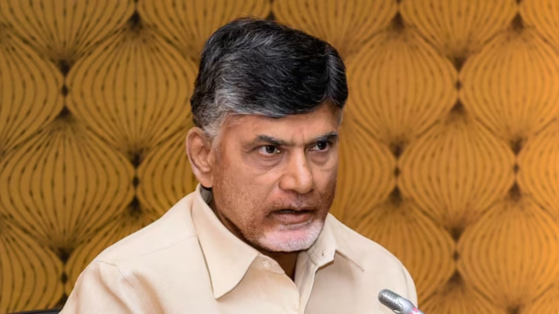Chandrababu: సింగపూర్ పర్యటనలో బిజీ బిజీగా సీఎం చంద్రబాబు