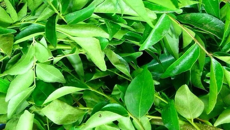 కరివేపాకులో ఫైబర్ ఉంటుంది.