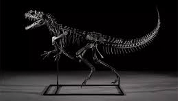 Dinosaur fossil: పురాతన డైనోసార్‌ శిలాజం వేలం.. రూ.263 కోట్లు పలికిన ధర