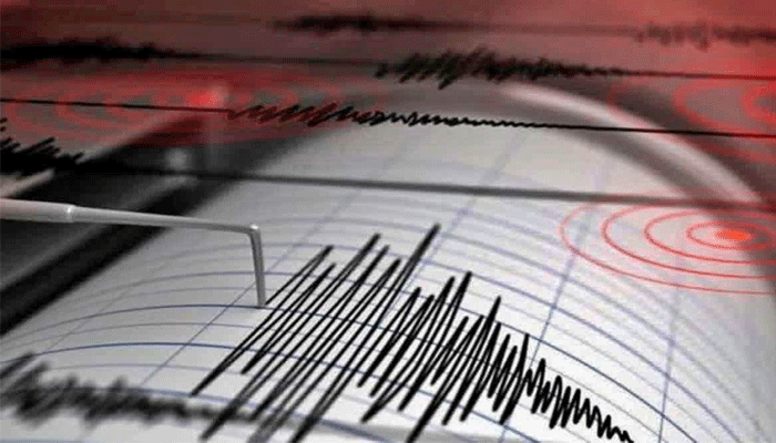 Earthquake: భవిష్యత్‌లో భూకంపాలను ఇలా తెలుసుకోవచ్చు.. శతాబ్దాల నాటి పత్రాలతో రీసెర్చ్​