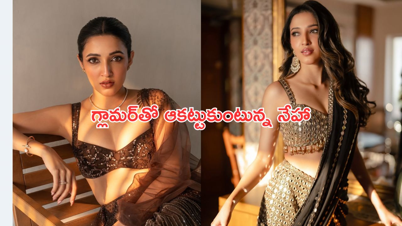 Heroine Neha Shetty: గ్లామర్‌తో కుర్రాళ్లు మనసును ఆకట్టుకుంటున్న నేహా