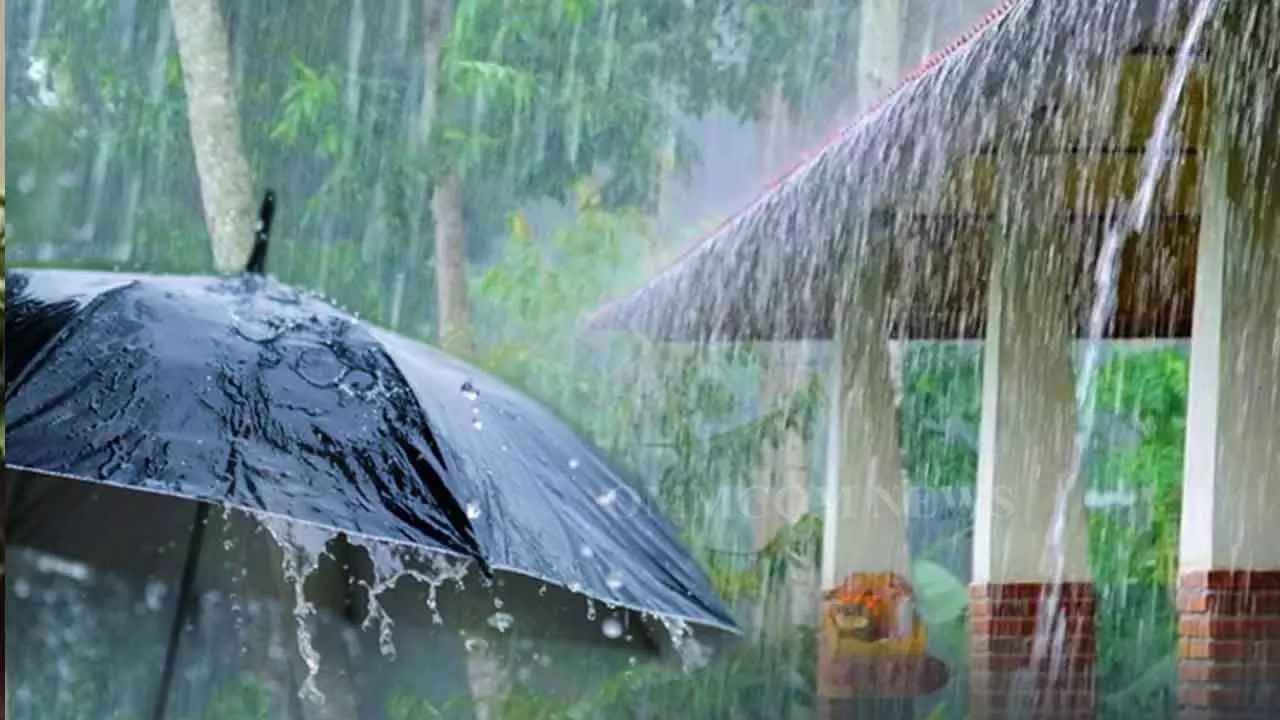 Monsoon: వర్షాకాలంలో తీసుకోవాల్సిన జాగ్రత్తలు ఇవే..!