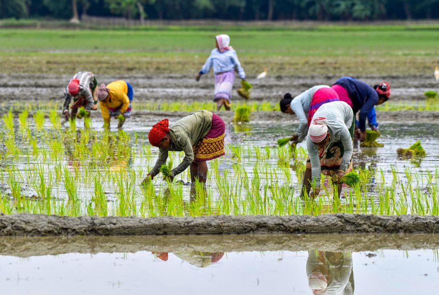 PM Dhan-Dhaanya Krishi Yojana: రుణాల కోసం రైతులకు ప్రత్యేక స్కీమ్.. రూ. 24,000 కోట్లతో 1.7 కోట్ల మందికి లబ్ధి!