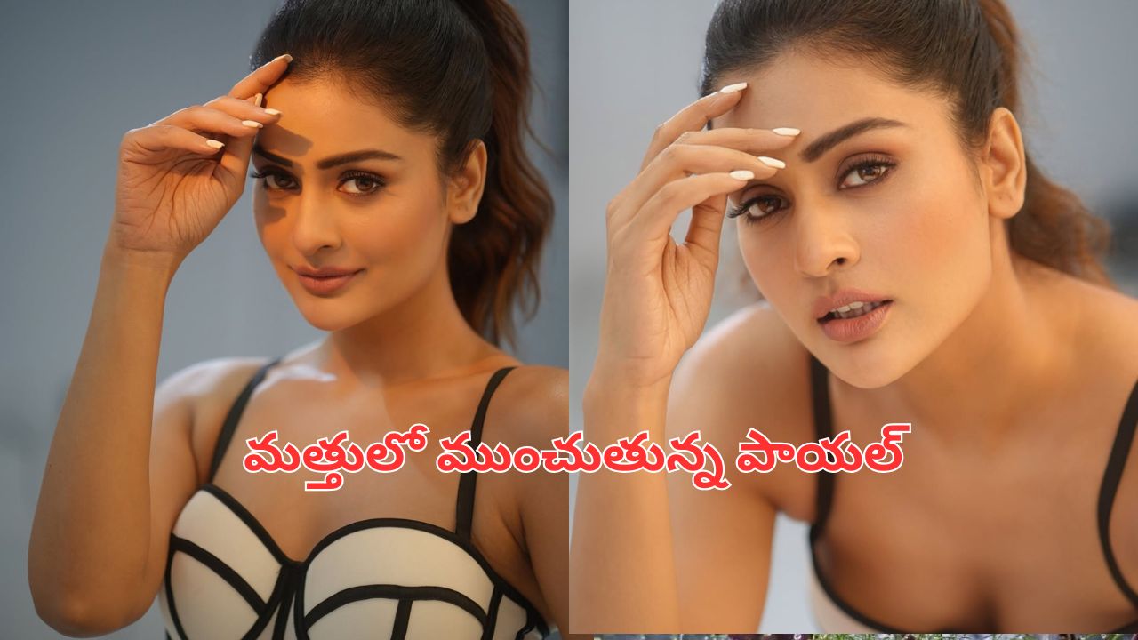 Payal Rajput: కుర్రాళ్లను మత్తులో ముంచుతున్న పాయల్ రాజ్ పుత్