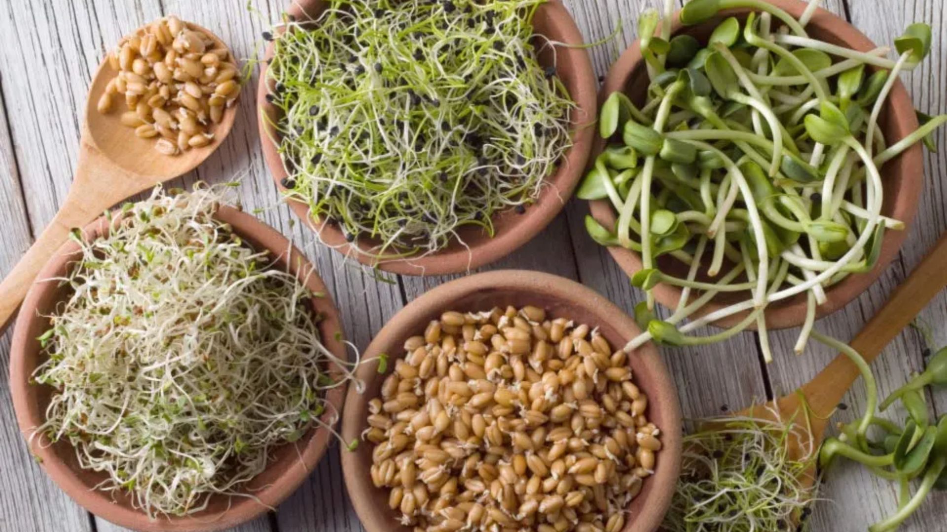 Sprouts: ఈ మొలకలను పచ్చిగా తింటే.. అంతే సంగతి