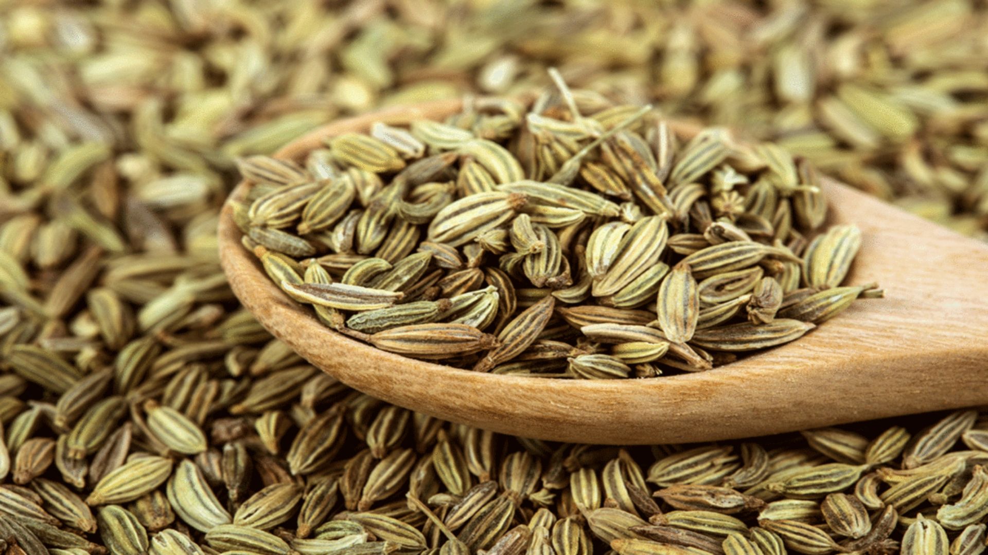 Anise Seeds: జీర్ణక్రియ మెరుగుపడాలంటే ఇవి తినాల్సిందే..!