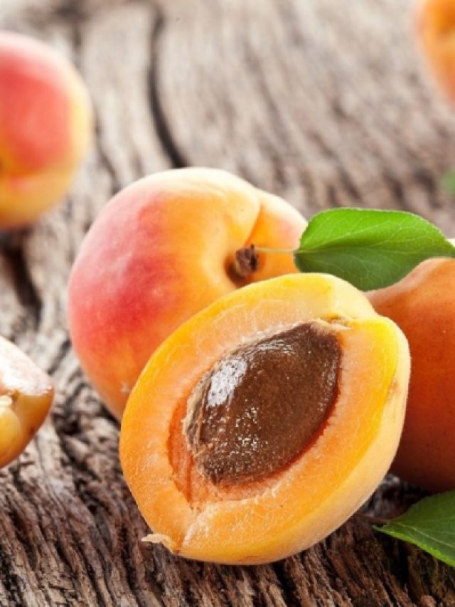 Apricot Fruit Benefits: ఆప్రికాట్ ఫ్యూట్‌తో అద్భుతమైన ఆరోగ్యం