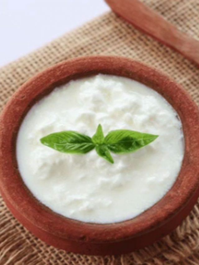 Health Benifits Of Curd: పెరుగుతో ఆరోగ్యం