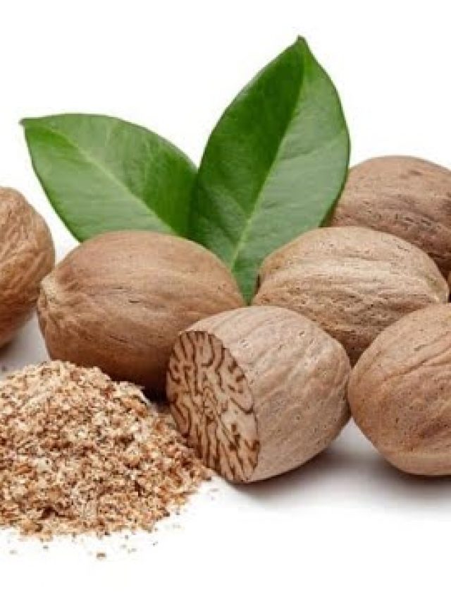 Karakkaya benefits: కరక్కాయతో ఎన్నో ఆరోగ్య ప్రయోజనాలు