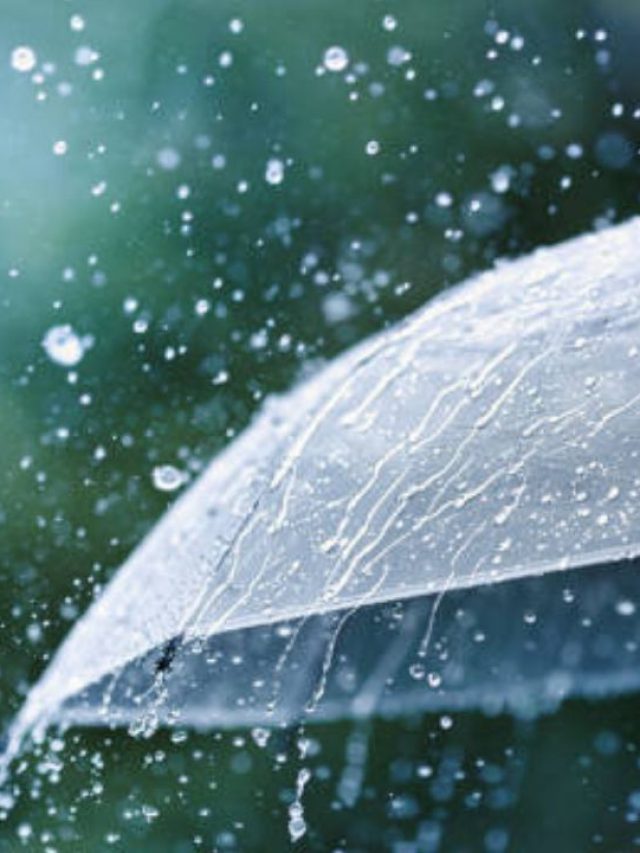 Monsoon: వర్షాకాలంలో తీసుకోవాల్సిన జాగ్రత్తలు ఇవే..!