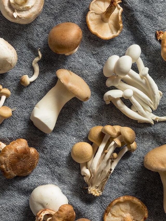 Mushrooms Benefits: పుట్టగొడుగులతో కలిగే లాభాలివే!