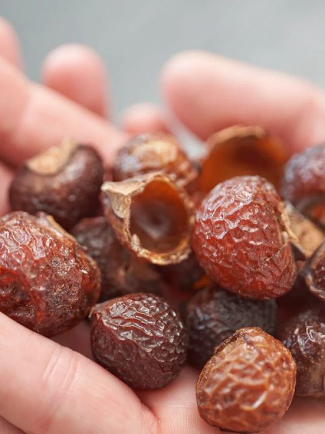 soap nuts benefits:  కుంకుడు కాయలతో బోలెడు లాభాలు..!!
