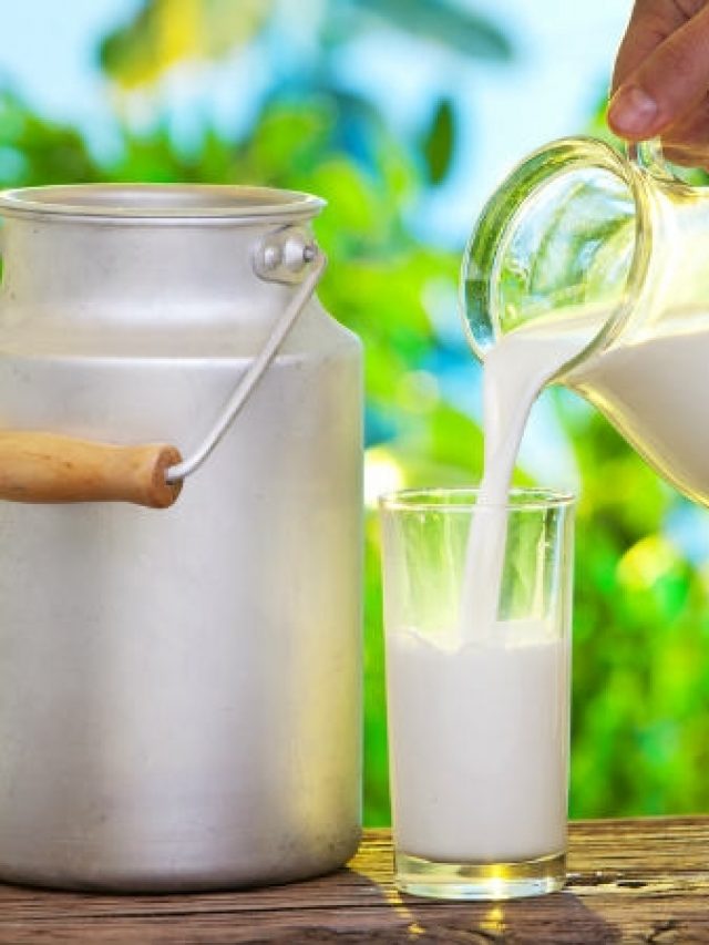 Benefits Of Milk: పాలతో అద్భుత ఆరోగ్యం