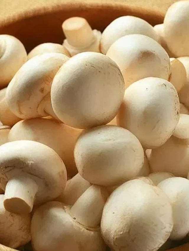 Benifits Of Mushrooms: పుట్టగొడుగులు తింటే కలిగే లాభాలివే