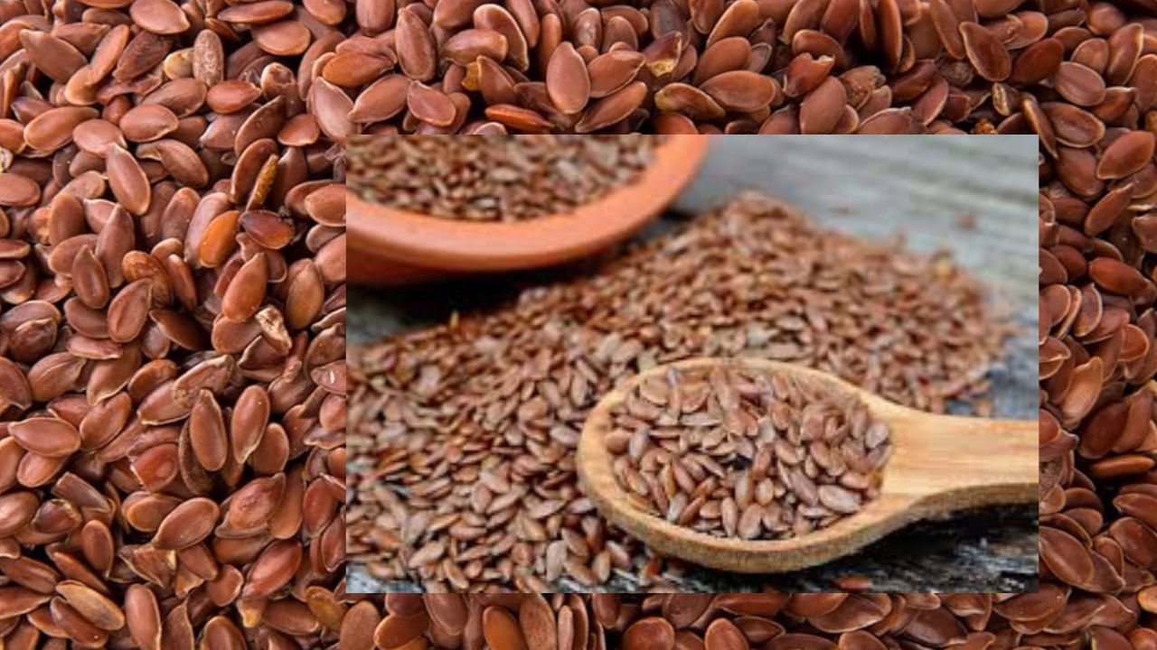 Omega Fatty Acids: అధిక ఫ్యాట్ ను తగ్గించే ఒమేగా3 ఫ్యాటీ యాసిడ్స్..!  ఇందులో అధికం..!