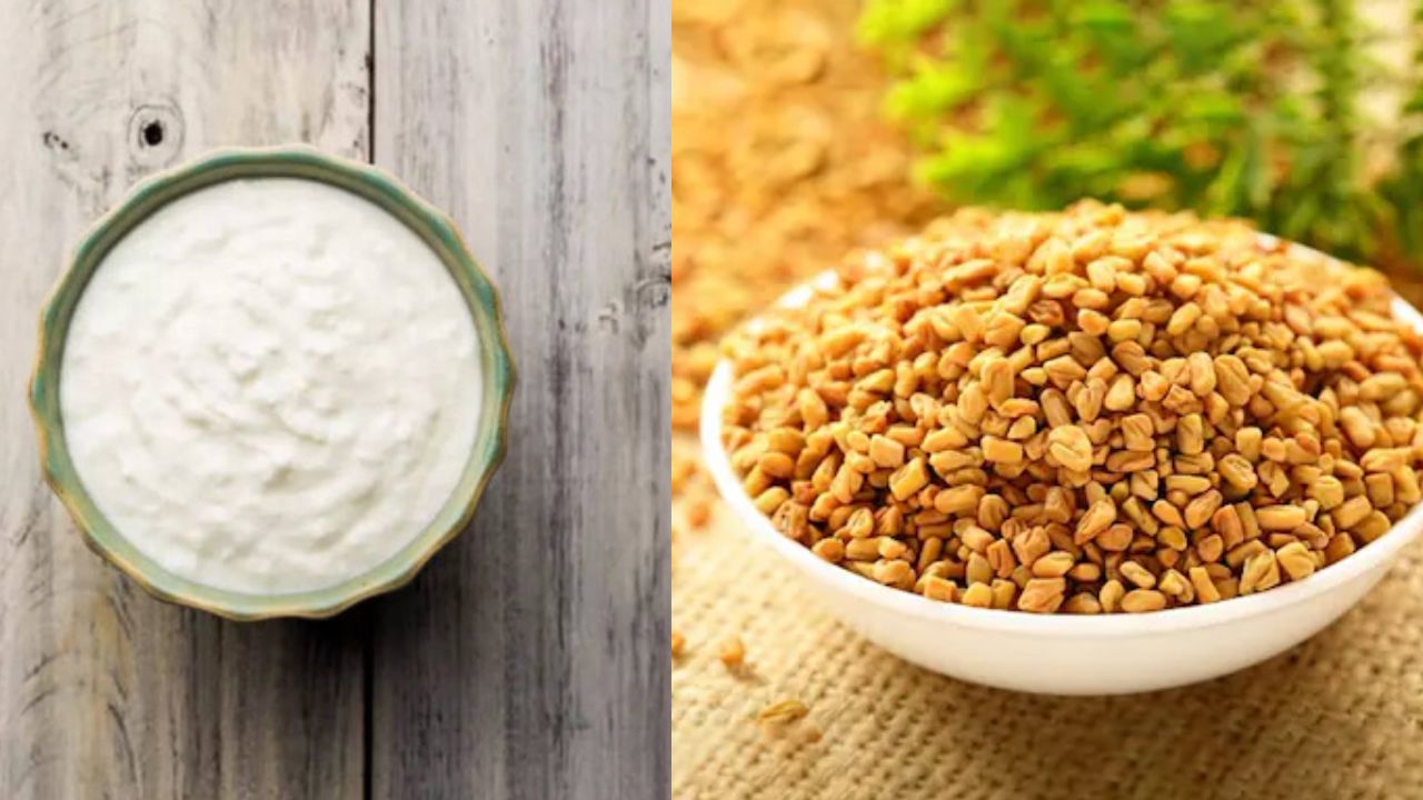 Dandruff: రెండు వారాల్లో చుండ్రు మాయం.. అది ఎలాగంటారా..?