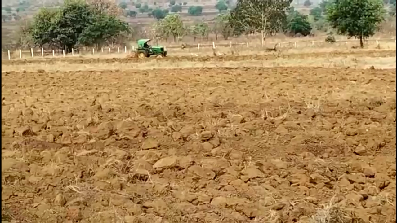 Rangareddy District Soil: మట్టిలో క్యాన్సర్ నిరోధక బ్యాక్టీరియా
