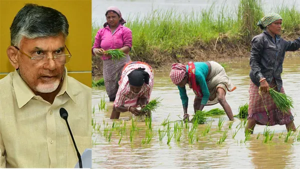 Annadata Sukhibhava Scheme: మీ ఖాతాల్లో అన్నదాత సుఖీభవ డబ్బులు పడ్డాయా.. చెక్ చేసుకోండిలా!