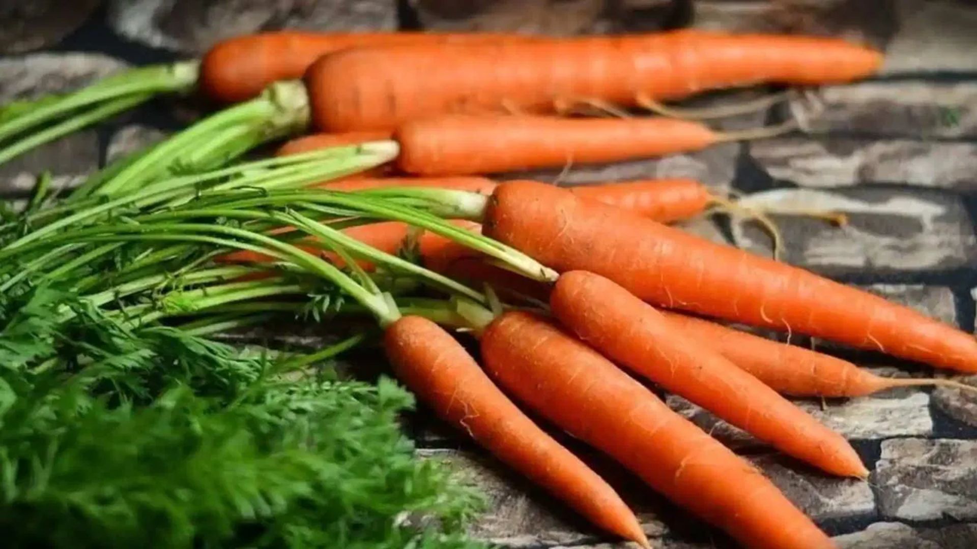 Carrot: రోజు క్యారెట్ తింటే లెక్కలేనన్ని బెనిఫిట్స్..!