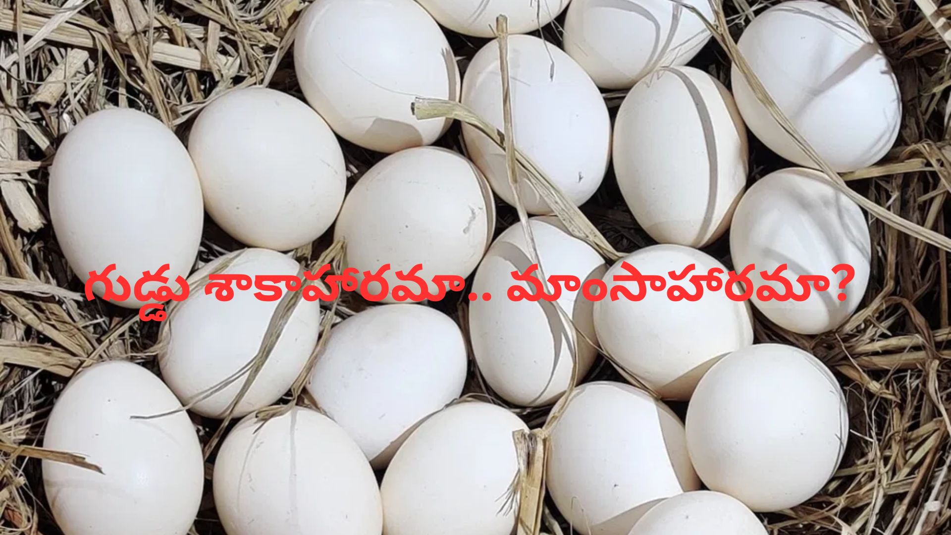 Egg Veg or Nonveg: గుడ్డు శాకాహారమా.. మాంసాహారమా?