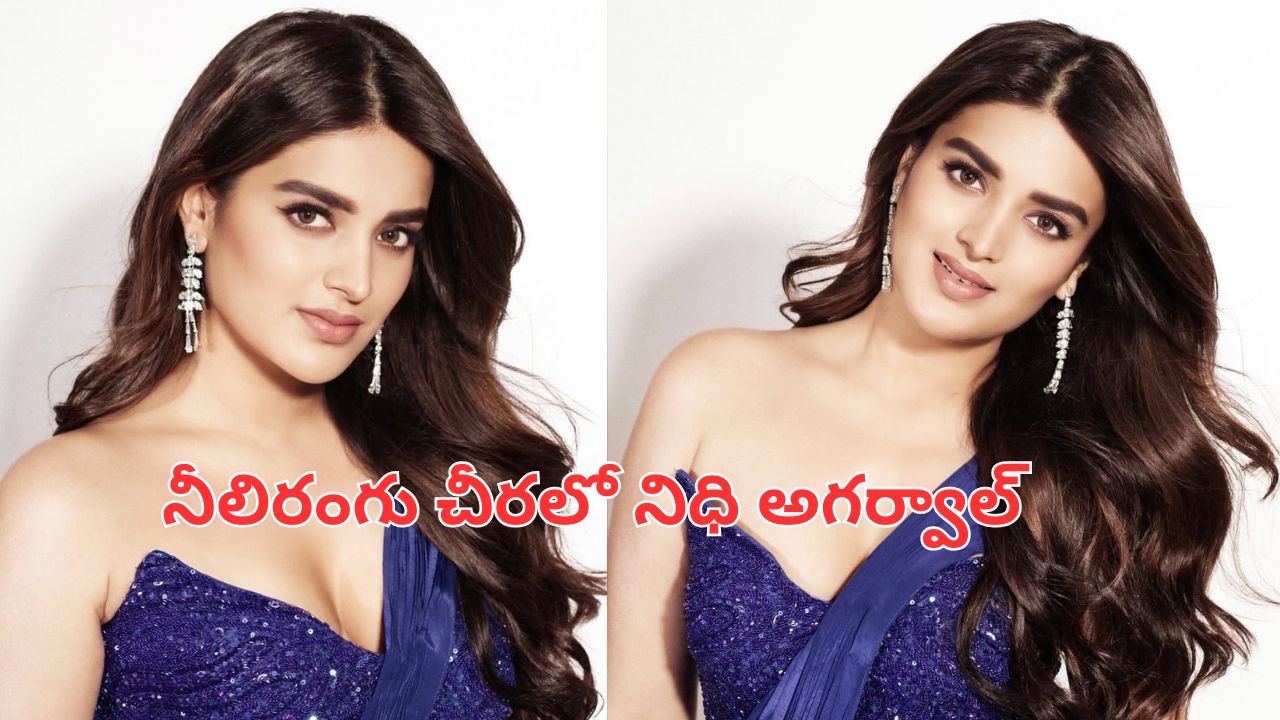 Nidhi Agarwal: నీలిరంగు చీరలో నిధి అగర్వాల్..