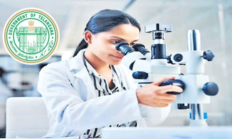 Telangana Govt Jobs: ల్యాబ్ టెక్నీషియన్ పోస్టులు.. మెరిట్ జాబితా విడుదల.. త్వరలో సర్టిఫికేట్ వెరిఫికేషన్