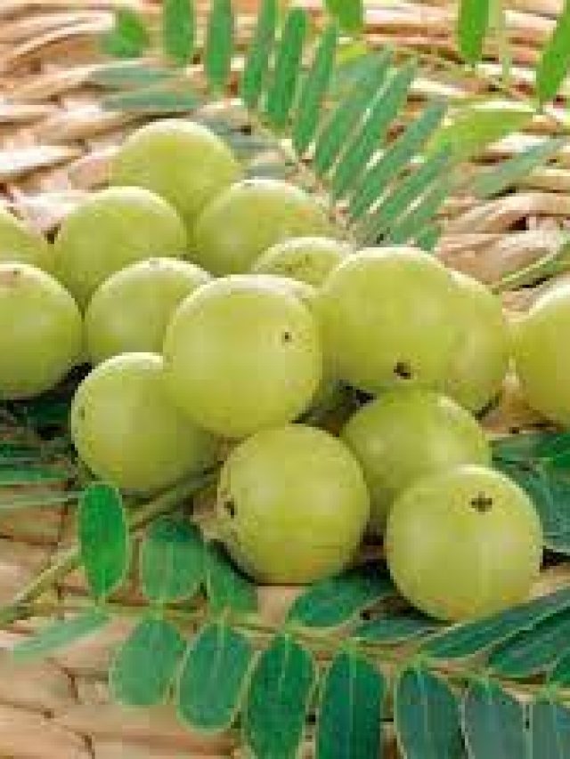 Amla Benefits: రోజుకో ఉసిరి తింటే ఎం జరుగుతుందో తెలుసా..?