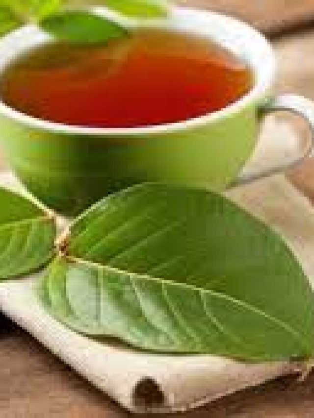 Guava Leaf Tea: జామ ఆకుల 'టీ' తాగితే ఎన్నో ప్రయోజనాలో.. మీకు తెలుసా ?