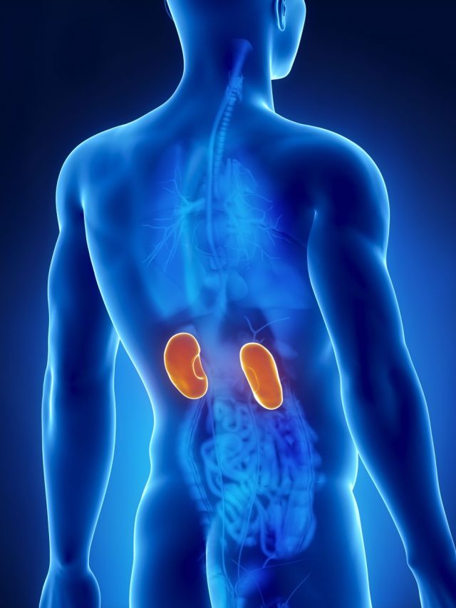 Kidney Failure: కిడ్నీ ఫెయిల్యూర్కు కారణాలివే!