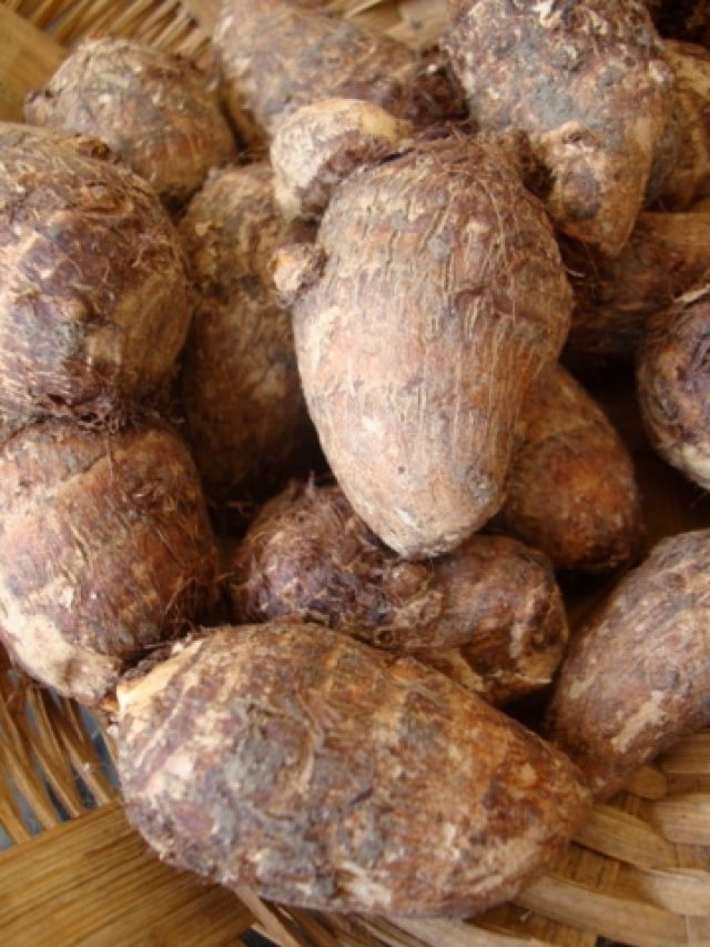 Health Benefits Of Taro Root: చామదుంపతో చాలా ప్రయోజనాలు